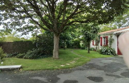 Gîte 'Chez René' - 10 min du PUY DU FOU - Photo 11