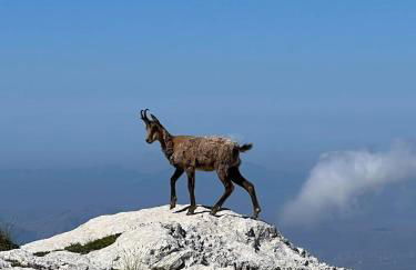 La Transiberiana - Foto 16