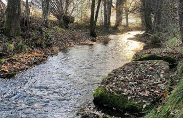 Haus Löwe - Komplettes Ferienhaus am Badesee - Foto 33
