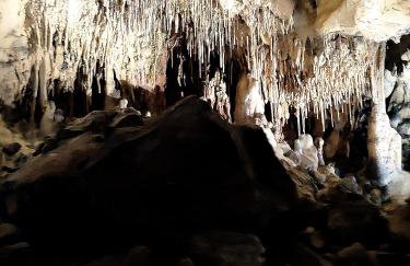 Le Picholine - Foto 35