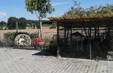 Agriturismo Nuvolino - Foto 42