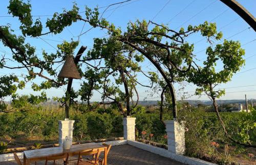 Casa Rural Huerto del Carmen - Foto 39