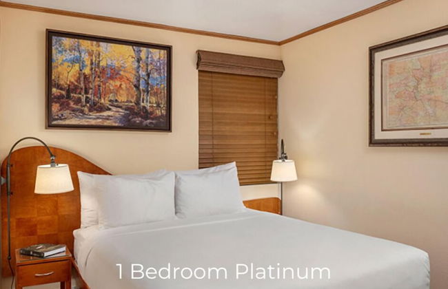 The Landmark - Photo 7