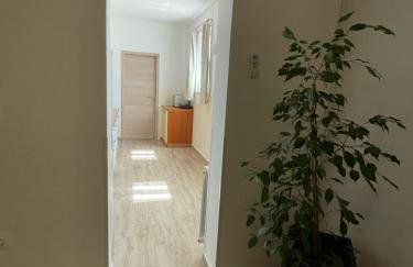 Apartman Varea - Photo 6