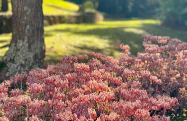 Reserva Atibaia / Casa de Montanha - Photo 55