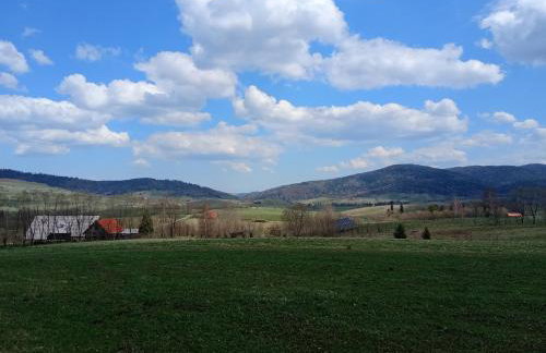 Bieszczadzka Zasadzka - Foto 20