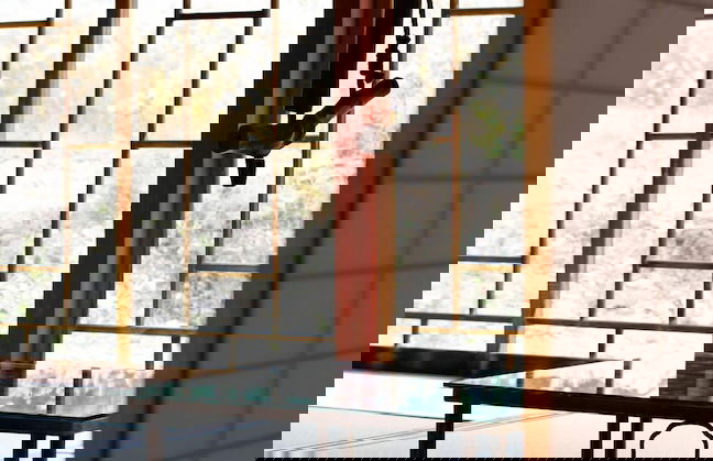 The Lodge MIWA - Foto 8