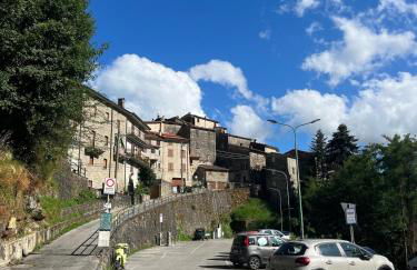 Alloggio nel Parco Alpi Apuane - Carnevale di Viareggio - Foto 24