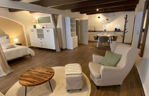 Großzügiges 1 Zimmer-Apartment mit Badewanne - Foto 4