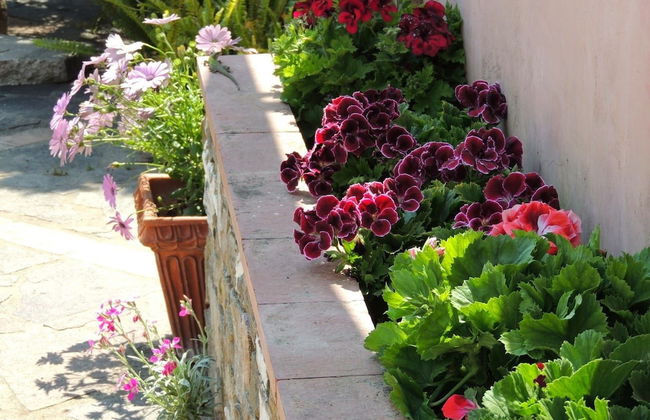 That's Amore Cilento Country House - Foto 45