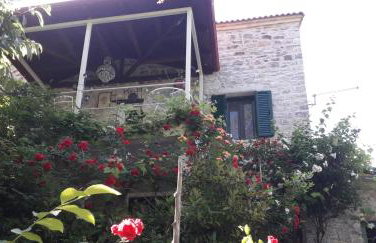 Studio Penelope - Photo 45