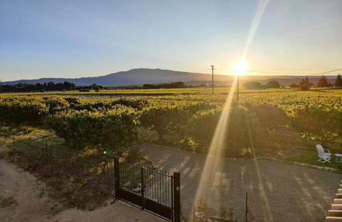 Gîte les Caunes - Foto 18