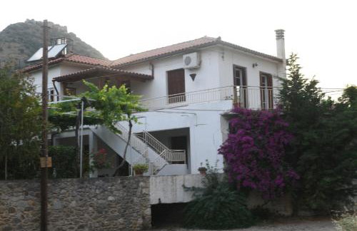 Art Flowers and Culture - Foto 14