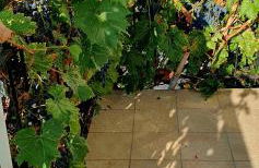 Casa Lorelein - Foto 34