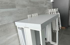 Biznaga Nevada - Foto 19