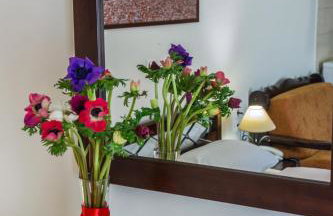 Chrysandra - Foto 16