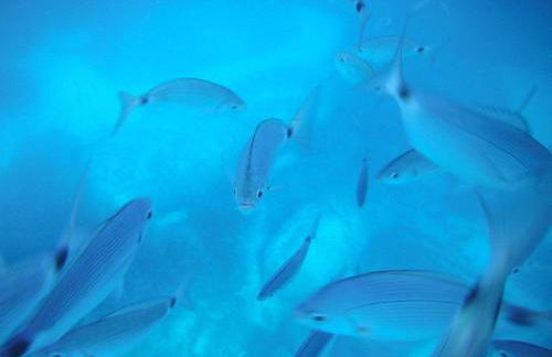 Villa Bruna - Foto 29