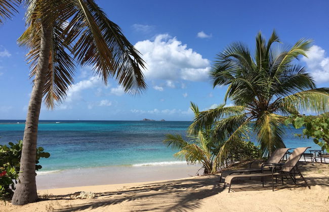 Mango Bay Resort - Foto 25