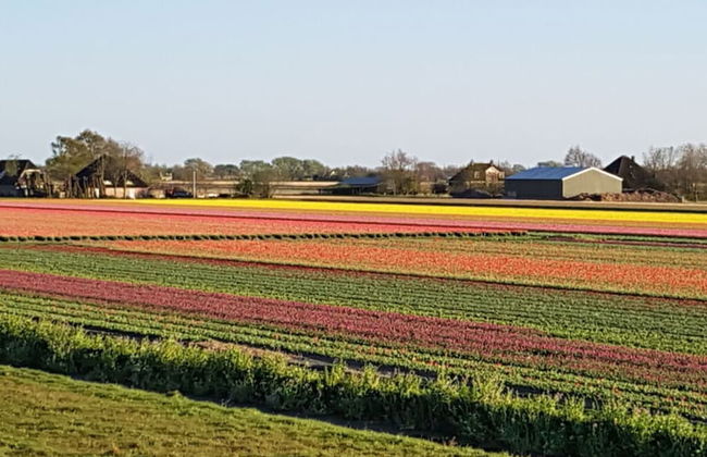 Country Life Comfortable Holiday Residence - Foto 20