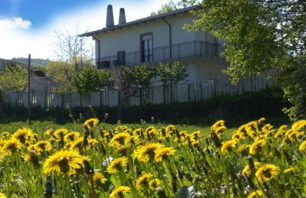 Il Canto degli Uccelli - Foto 15