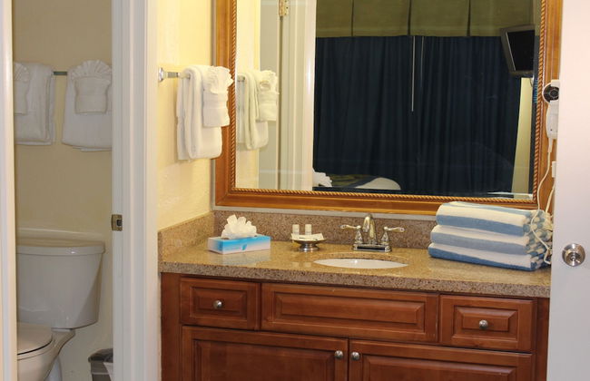 Blue Tree Resort at Lake Buena Vista - Foto 44