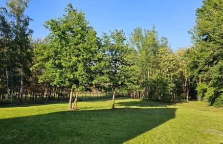 Osada Mech i Fale - Foto 40