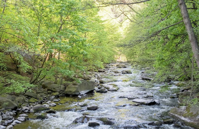 Holiday Home in Hasselfelde With Private Terrace - Foto 40