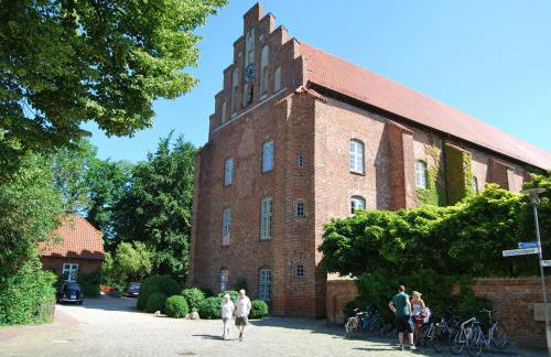 Rittersporn - Foto 18