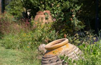 Ellie Villa - Foto 12