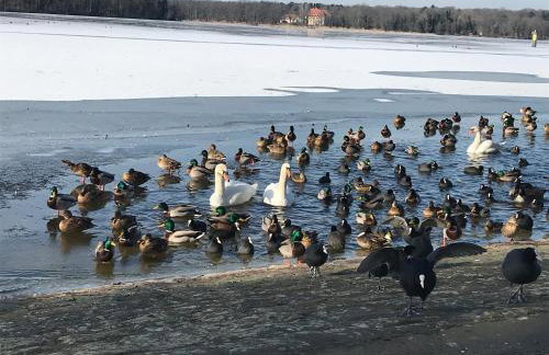 Klein App in Alt - Tegel - Foto 9