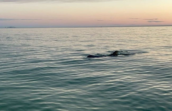 25840 Dolphin Way Of Hickory 204 2 Bedroom Condo - Photo 17