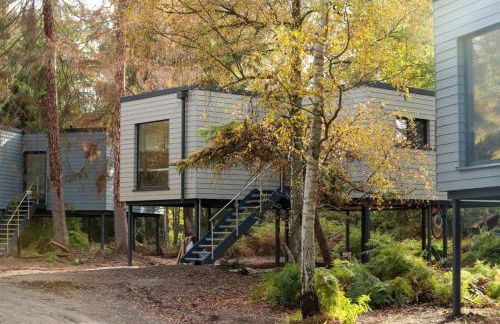 Tierpark Entdeckerhäuser - Foto 1