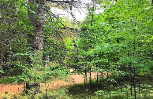 Dog-Friendly Chalet Rental near Whiteface Mountain and Lake Placid, New York - Foto 37