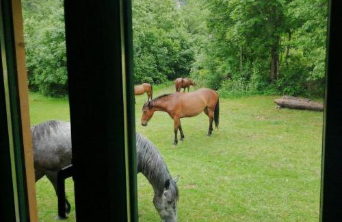 Velebit Mountain Chalet Stars Peak - Foto 20