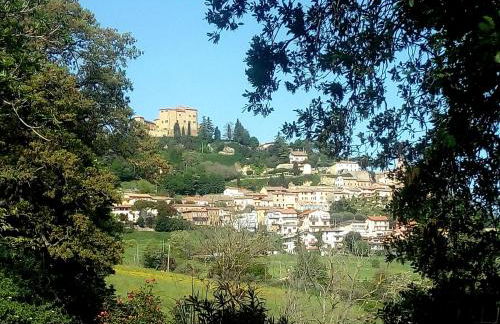 la cana dolce - Foto 16