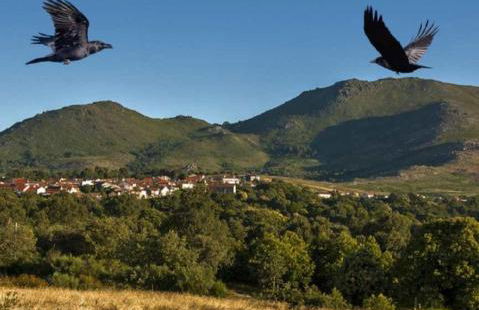 Casa do Sobrado-Gralhas-Montalegre - Foto 32
