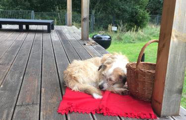 Calm House Krzynia - dom nad jeziorem do wynajęcia - Foto 63