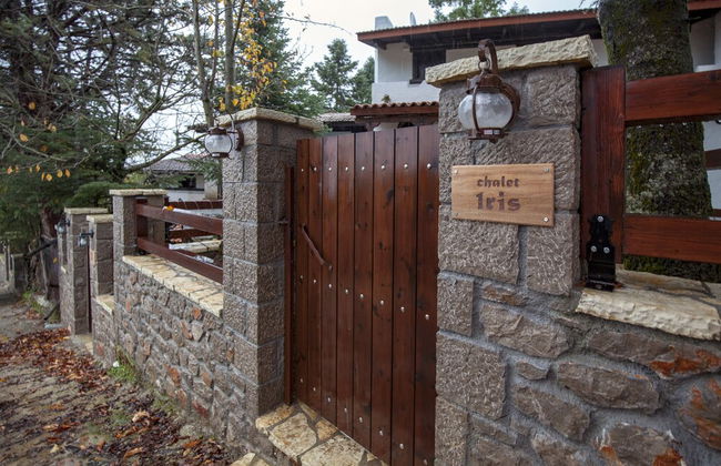 Dandy Villas Agoriani - Foto 58