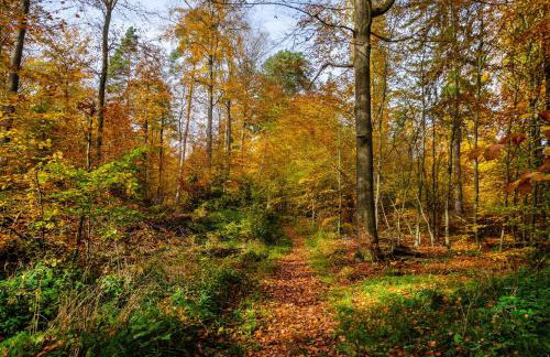 Gästezimmer für 3 Personen - Foto 29