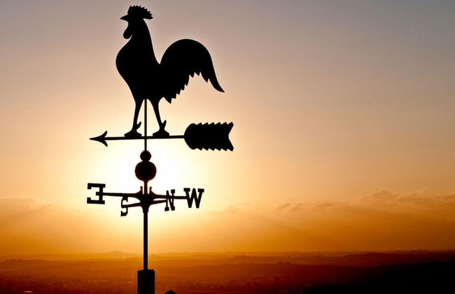 Verdidea - SOTTO COLLE - Foto 62