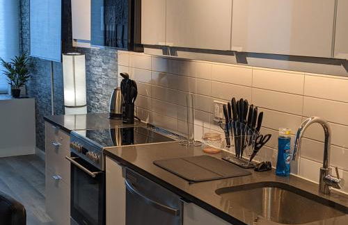 Beautiful 2 Bedroom Apt in downtown silverspring - Foto 6