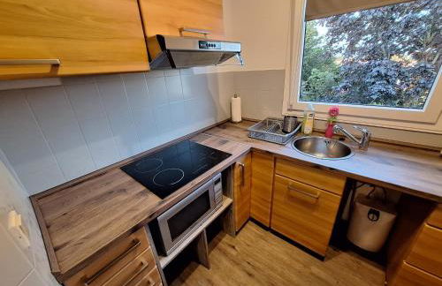 Elbidylle Ferienwohnung in Barby am Elberadweg - Foto 9