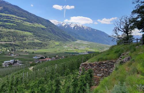 Weinreichhof - Foto 65