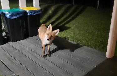 Domek Ostoja - Foto 45