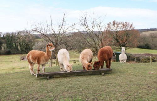 High Church Hill - Photo 59