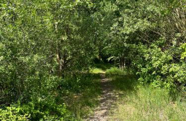 Domek nad jeziorem Wilczyńskim dla czterech osób, sypialnia z łożem małżeńskim oraz salon z rozkładanym narożnikiem - Photo 27