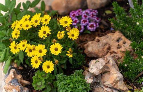 Villa Elia Kavala - Mediterranean Holiday Villa - Foto 34