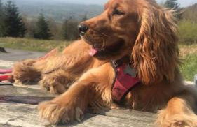 Garden Double Room with own door access and bathroom - Photo 25