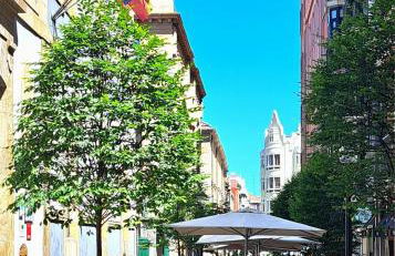 Brisas del Mar - Foto 17