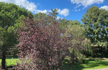 San Biagio - Foto 20